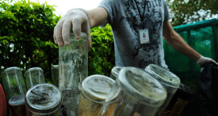 dengue em condomínios