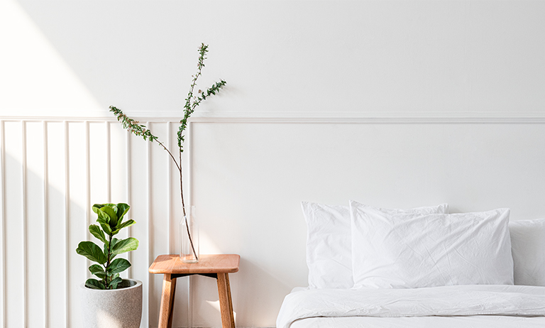 Plantas no quarto: quais tipos ideais para ajudar no sono